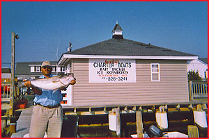 Rock Fish caught from a rental boat!